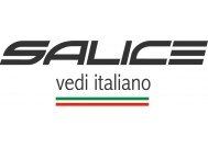 Salice Salice