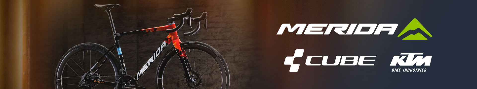 Новинки в AlienBike Alienbike Brooks Shulz Superior